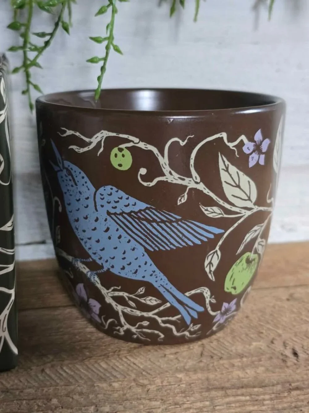 Fairyloot Sleep Like death by Kalynn Bayron Plant Pot with Birds Apples Book Box